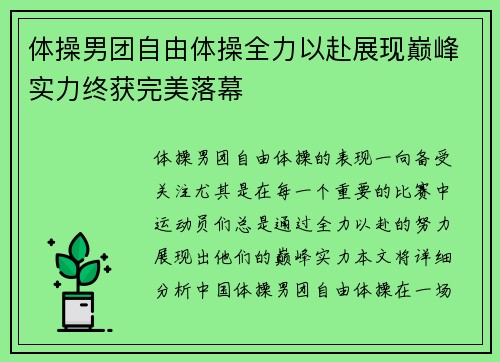 体操男团自由体操全力以赴展现巅峰实力终获完美落幕