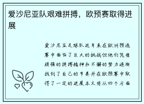 爱沙尼亚队艰难拼搏，欧预赛取得进展