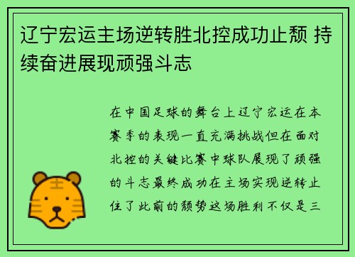辽宁宏运主场逆转胜北控成功止颓 持续奋进展现顽强斗志